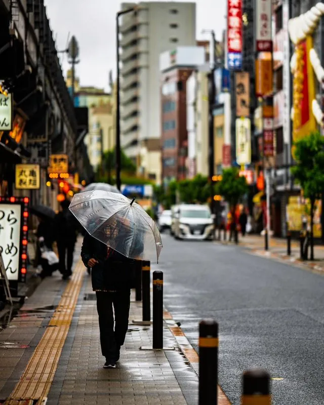 rainy day in ryogoku - the district known as the center of the sumo wrestling world