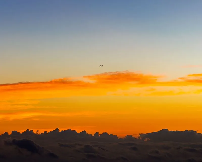 the sun sets below the cloud layer and one bird gets the whole sky