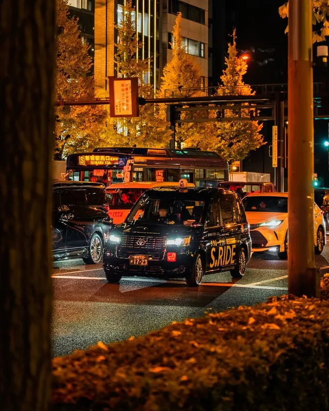 s.ride taxi at a green light, ginkgo glowing gold under the streetlights