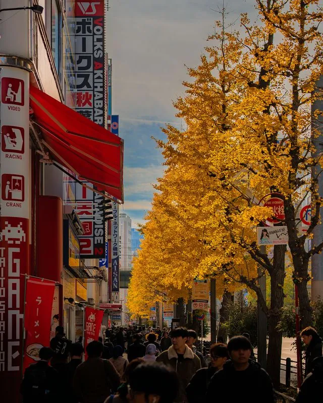 golden ginkgo overhead, red signs on the left, the crowd walking through the shade
