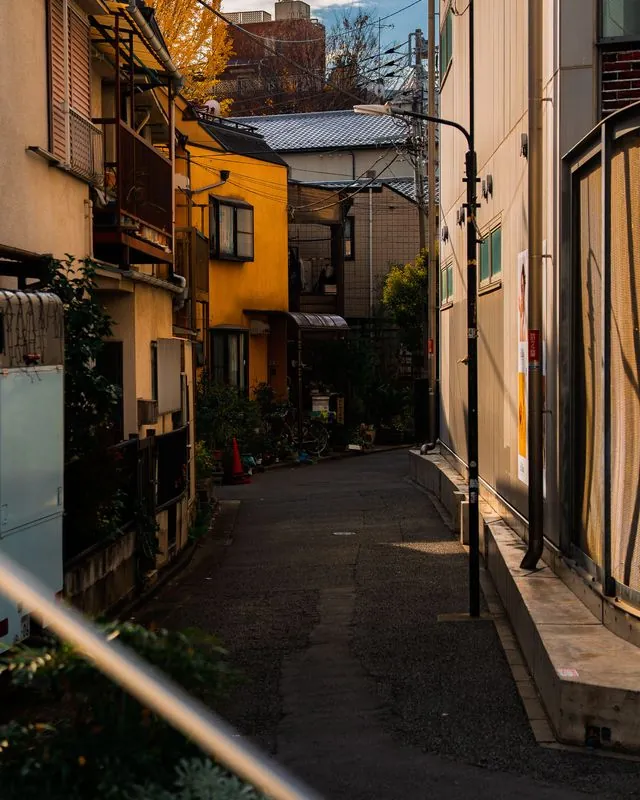 golden light rakes the walls of an empty back alley
