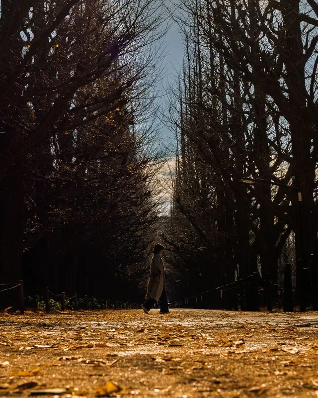 footsteps soft as falling leaves