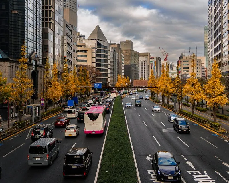 autumn traffic symphony