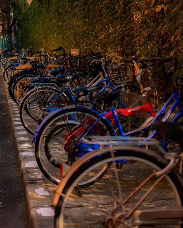 cycles waiting for the cycle to begin again