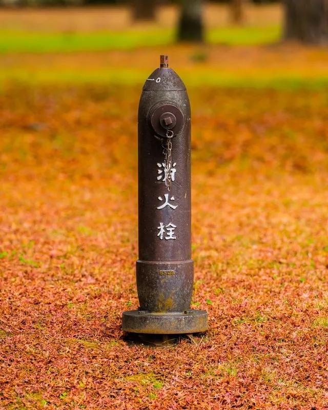 the fire hydrant painted with its own name, standing in fallen leaves