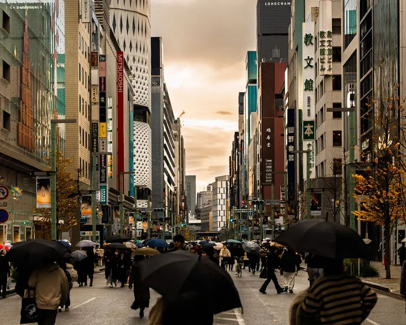 serene gloomy