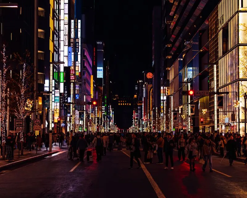 the boulevard handed to pedestrians, neon and tree lights under a black sky